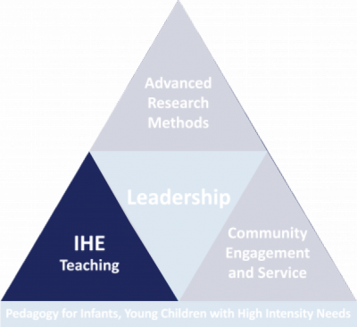 Competency Triangle Graphic with the IHE Teaching Section Highlighted