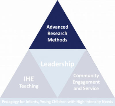 Competency Triangle Graphic with the Advanced Research Methods Section Highlighted